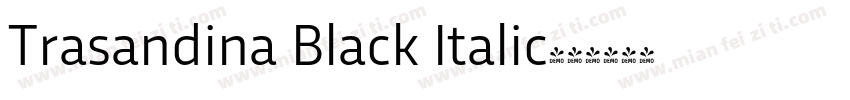 Trasandina Black Italic字体转换